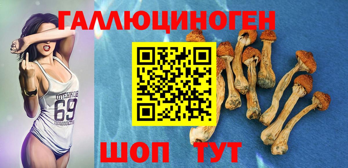 цена   Псилоцибиновые грибы Magic Shrooms  Таганрог  Вход с VPN  Псилоцибиновые грибы MAGIC MUSHROOMS 